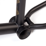 Fiend Reynolds V3 (Garrett Reynolds Signature) Frame 20.75" Flat Black