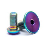 WH41 Titanium Crank and Sprocket Bolts (Odyssey Thunderbolt)