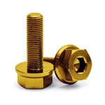 WH41 Titanium Female Axle Nuts Gold 10mm (2 Pieces)