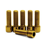 WH41 Titanium Stem Bolts Gold (6 Pieces) USA Spec