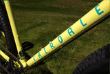 Fairdale Weekender Archer Complete Bike Gloss Lemon Grass 27.5"