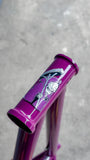 Sunday Street Sweeper (Jake Seeley Signature) Frame Gloss Berry 21"