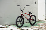 WH41 Custom BMX Build