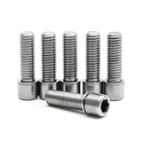 WH41 Titanium Stem Bolts (6 Pieces) Standard