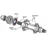 Flybikes Magneto Rear Cassette Hub Female Axle Black with Hub Guards